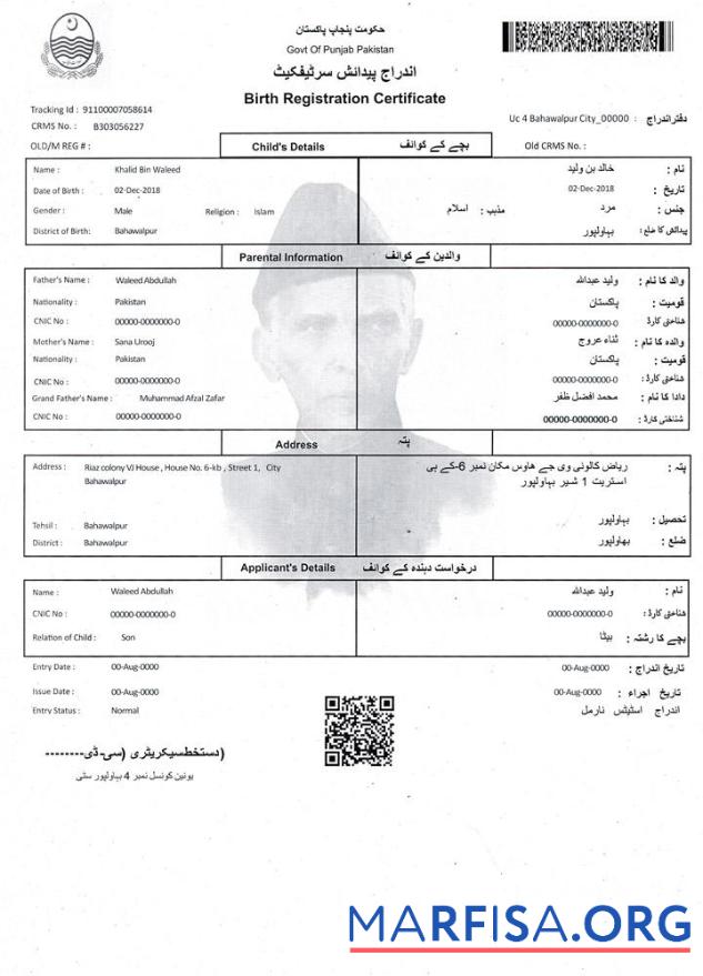 Realistic Pakistan Birth Registration certificate real example